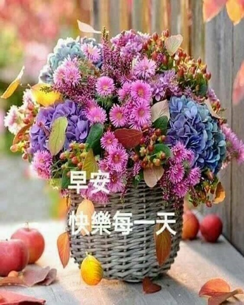 按我可連結至更清楚的圖片